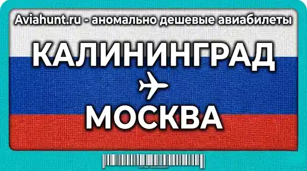 авиабилеты Калининград Москва