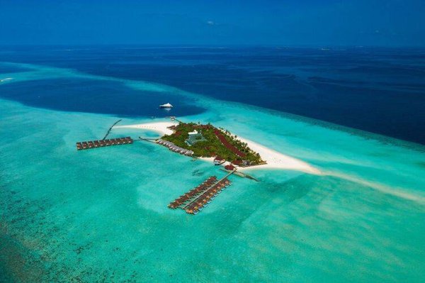 Горящий тур по 27 направлениям — отель Dhigufaru Island Resort (Баа Атолл)