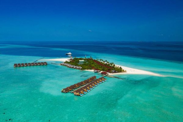 Горящий тур по 27 направлениям — отель Dhigufaru Island Resort (Баа Атолл)