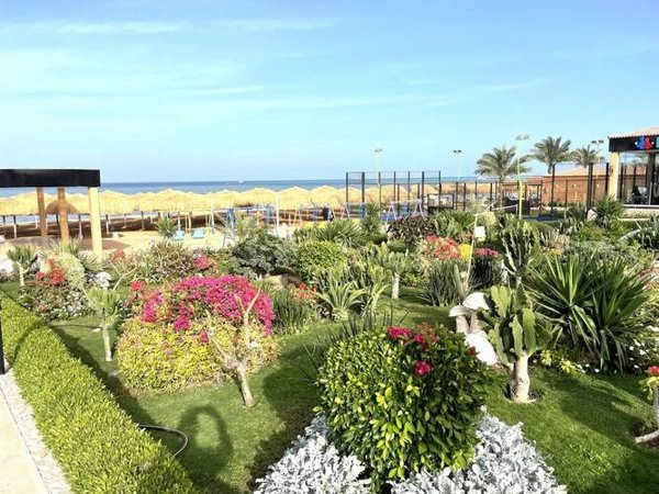 Горящая путевка в Египет — отель Rewaya Luxury Resort (Хургада)