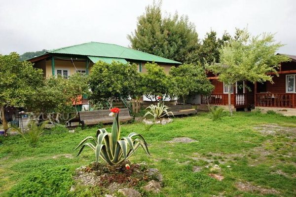 Горящий тур в Абхазию — отель Гостевой Дом Сосновый Бор (Пицунда)