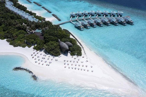 Горящий тур на Кубу — отель Niva Dhigali Maldives (Раа Атолл)